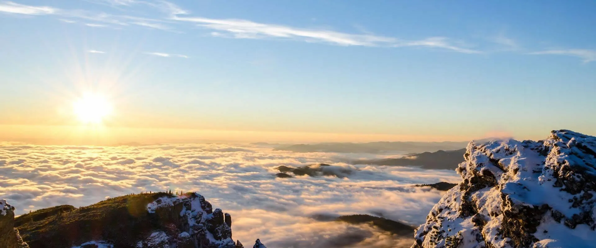 Exceptional proficiency in their craft.